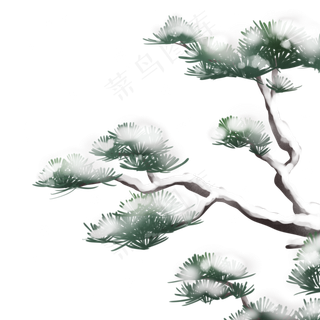 冬天雪中的松树,免抠元素