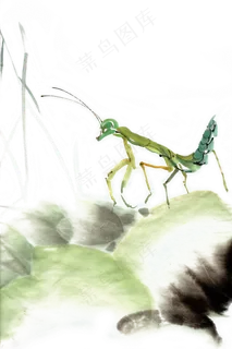 螳螂绿色水墨画PNG素材,免抠元素