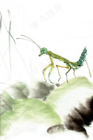 螳螂绿色水墨画PNG素材,免抠元素