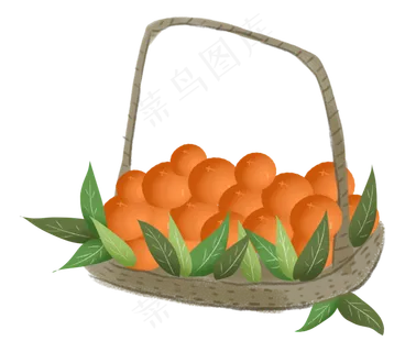 秋天秋日丰收蔬果柿子农作物果篮