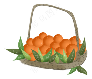 秋天秋日丰收蔬果柿子农作物果篮