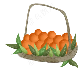 秋天秋日丰收蔬果柿子农作物果篮