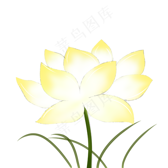 荷花黄色荷花手绘装饰图案(3000X3000(DPI:299))psd模版下载