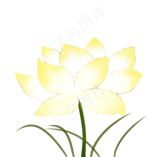 荷花黄色荷花手绘装饰图案