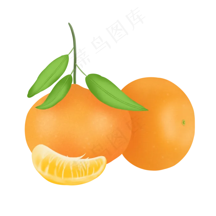 橙色水果橘子(2000X2000(DPI:299))psd模版下载
