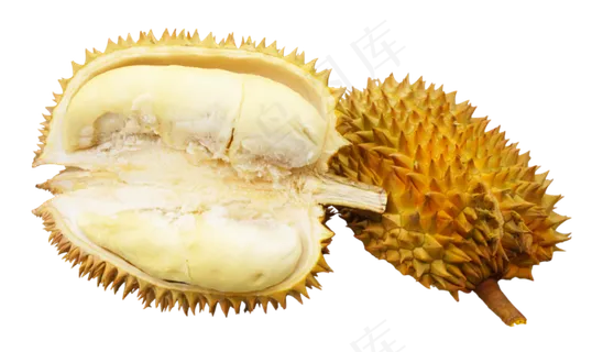 美味榴莲之王 美味榴莲之王