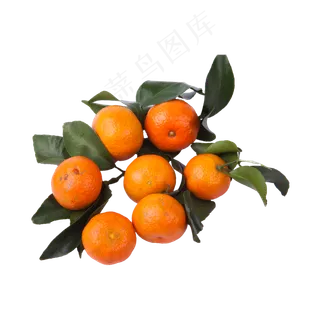 砂糖橘（png免抠）