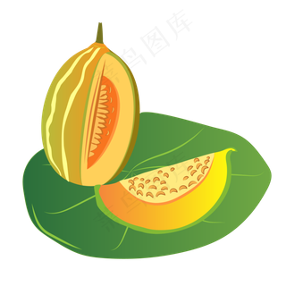 新鲜水果哈密瓜矢量图