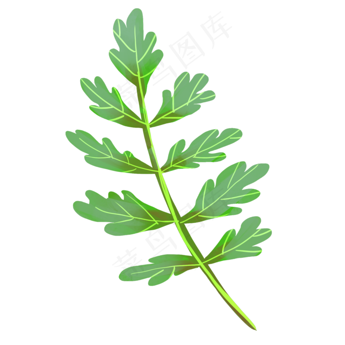 端午节艾叶艾草(2000X2000(DPI:300))psd模版下载