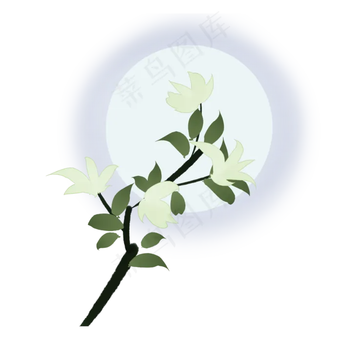 夜晚月亮下的植物(2000X2000(DPI:300))psd模版下载