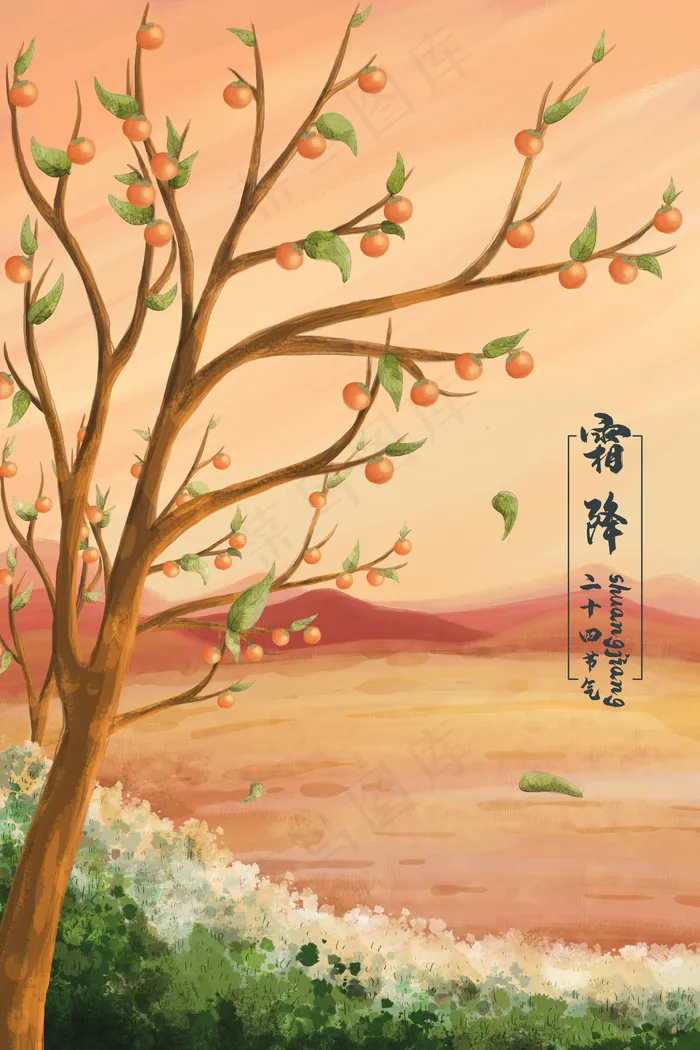 二十四节气霜降成熟的柿子(3545*5315px 300 dpi )