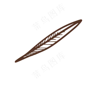 棕色简笔画羽毛叶子