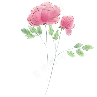 粉色花朵和叶子