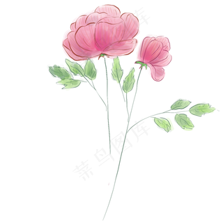 粉色花朵和叶子