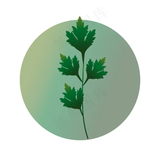 端午节艾草装饰图