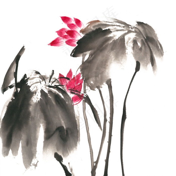 映日荷花水墨画PNG免抠素材