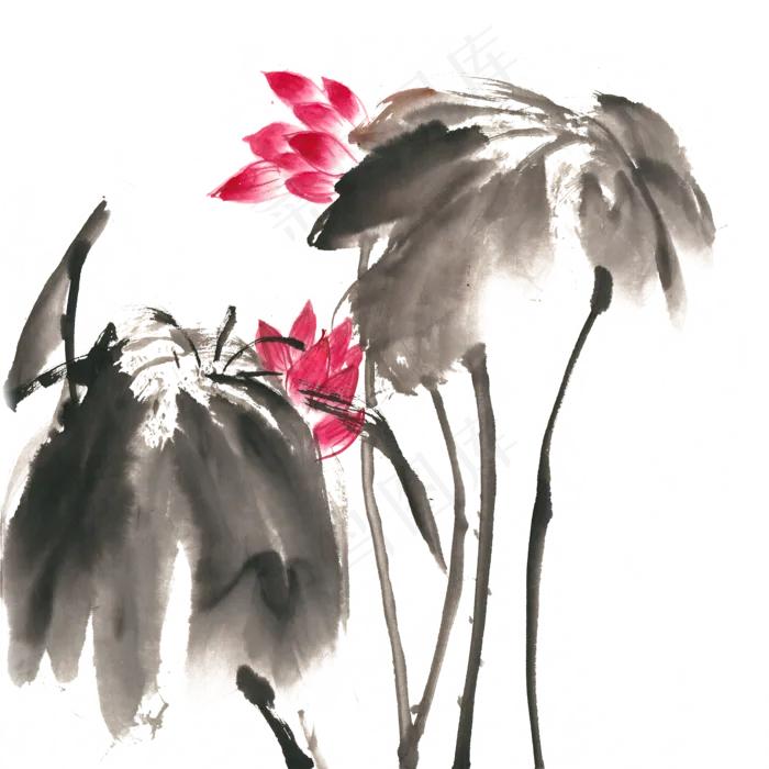 映日荷花水墨画PNG免抠素材(4724X4724(DPI:300))psd模版下载