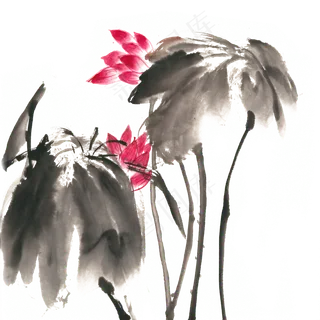 映日荷花水墨画PNG免抠素材