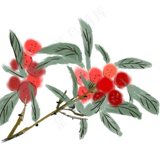 水墨水彩枝头红色杨梅