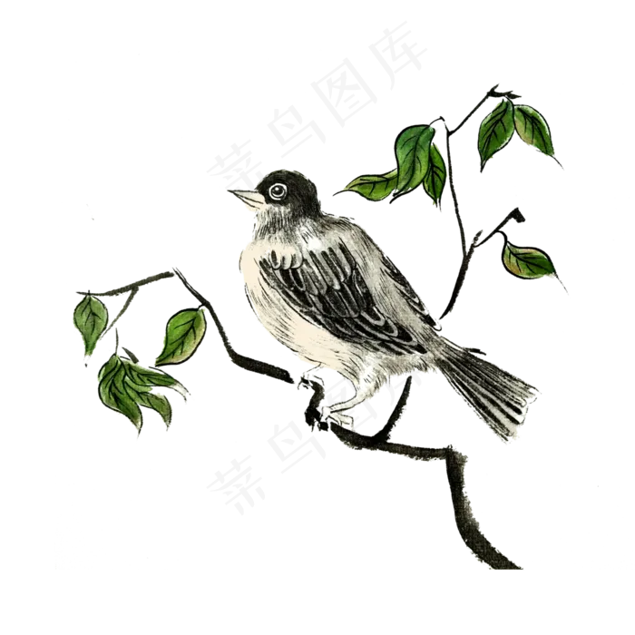 国画水墨花鸟工笔灰色雀鸟PNG,免抠元素(4000X4000(DPI:300))psd模版下载