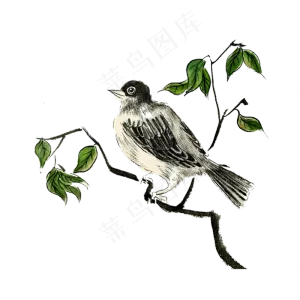 国画水墨花鸟工笔灰色雀鸟PNG,免抠元素