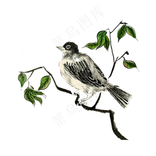 国画水墨花鸟工笔灰色雀鸟PNG,免抠元素