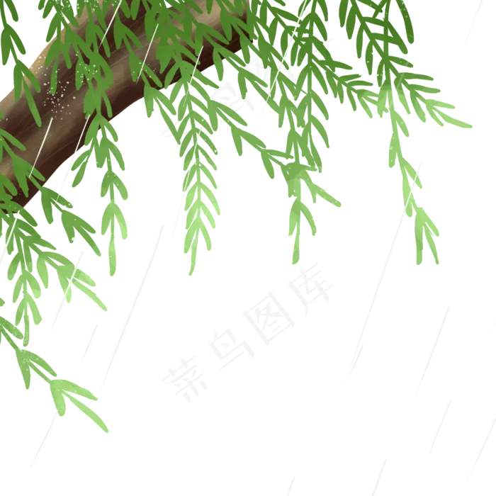 春天杨柳(2000X2000(DPI:300))psd模版下载