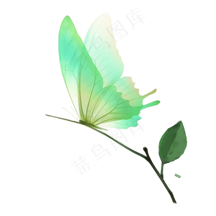 手绘春天蝴蝶插画