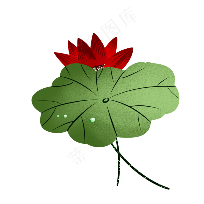 深红色单支荷花荷叶图案(2000X2000(DPI:299))psd模版下载