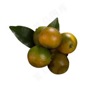 一些清新的小桔子