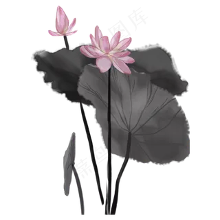 水墨荷花