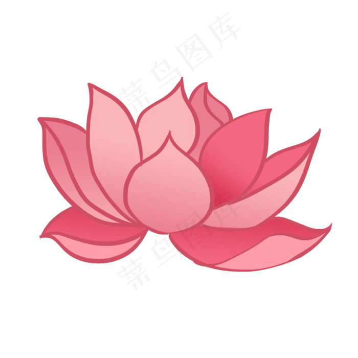 盛开的荷花粉色卡通