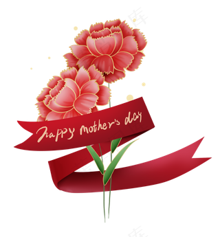 母亲节红色康乃馨