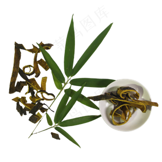 黄柏中药药材,免抠元素