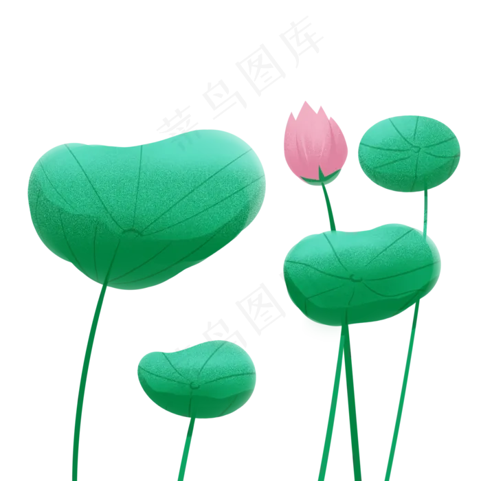 清新荷叶荷花