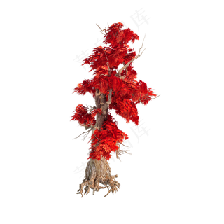 仿真红枫png图,免抠元素