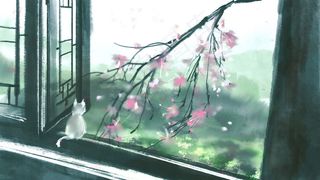 中国风青色窗外花节春季意境风景