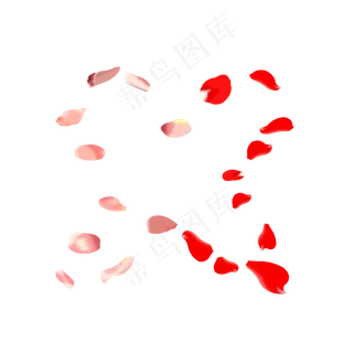 双色的玫瑰花瓣组成的形状