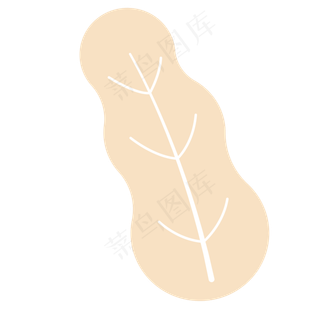 叶子春季自然植物