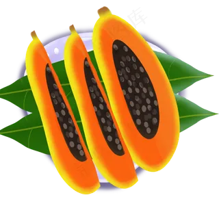 果水果瓜木瓜木瓜籽椭圆卵形