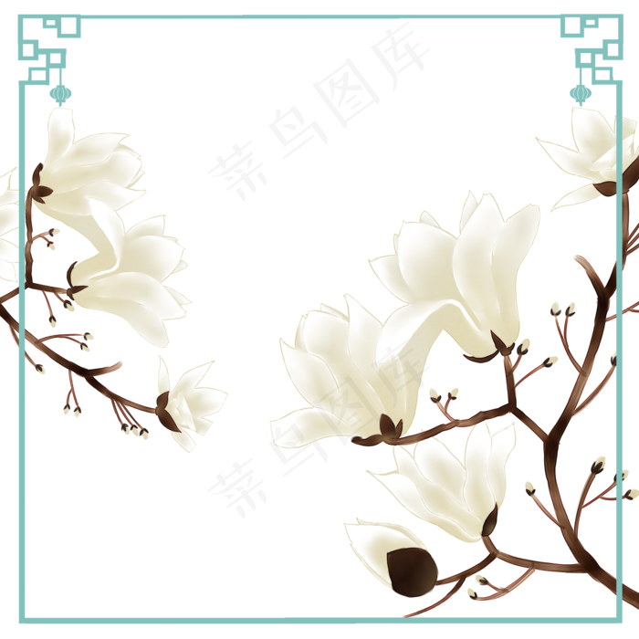 木兰树花卉望春花旱荷花早春花卉(2000X2000(DPI:300))psd模版下载