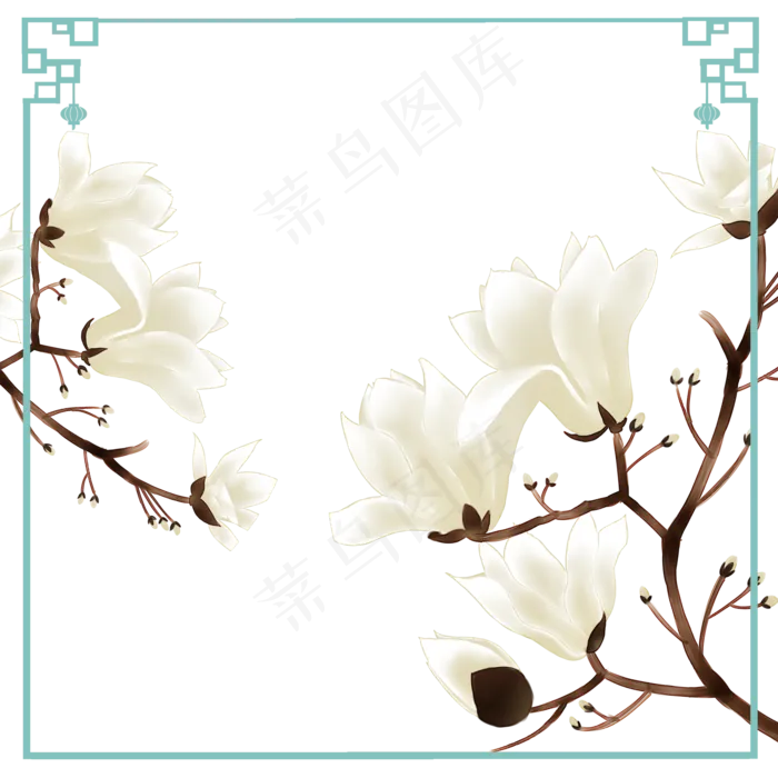 木兰树花卉望春花旱荷花早春花卉(2000X2000(DPI:300))psd模版下载