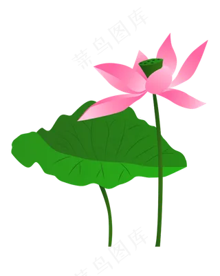 矢量卡通粉色莲花