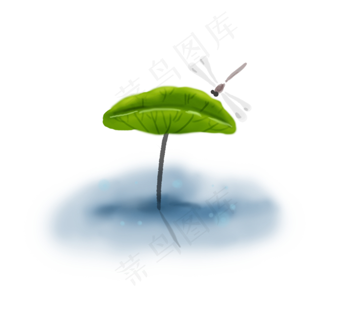 夏至手绘荷叶和蜻蜓