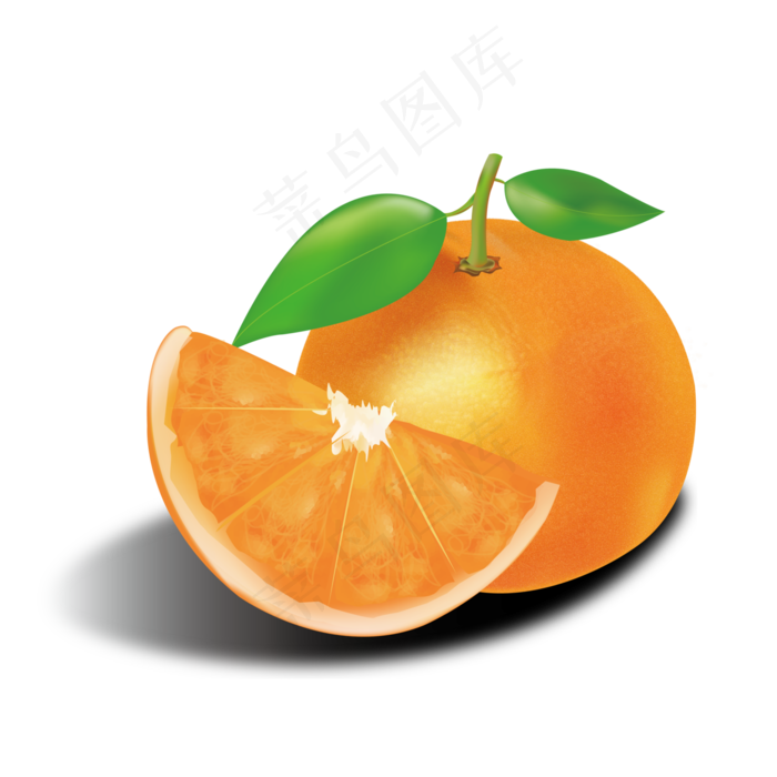 手绘逼真精致写实橙子组合可商用