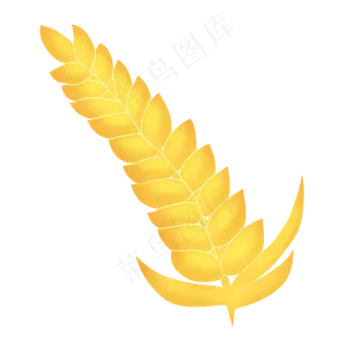 金色秋天丰收小麦