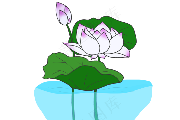 白色链花荷花插图(3000X2000(DPI:300))psd模版下载