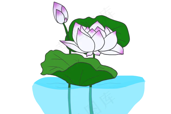 白色链花荷花插图(3000X2000(DPI:300))psd模版下载