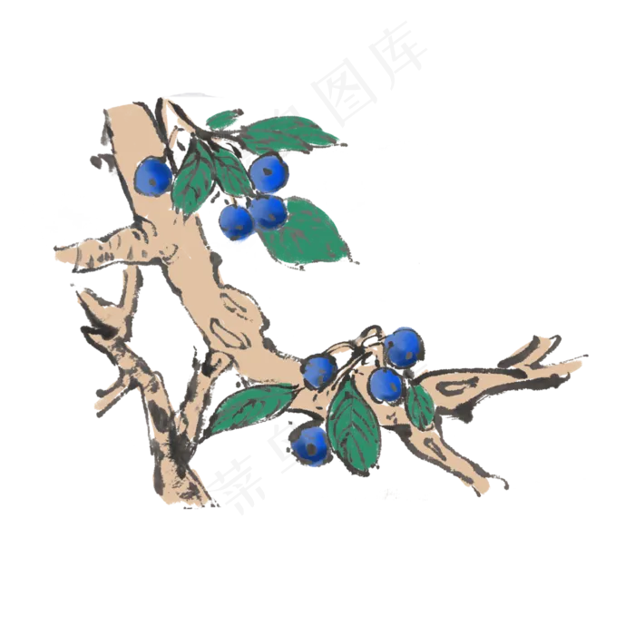 新鲜水果蓝莓手绘水墨风(4000X4000(DPI:300))psd模版下载