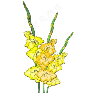 手绘水彩菖蒲花束